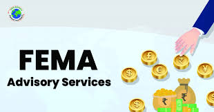 FEMA Advisory Services